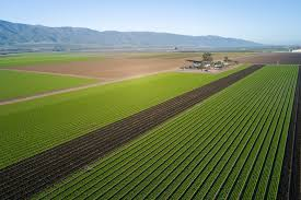 GIS-Driven Agritech Transformation